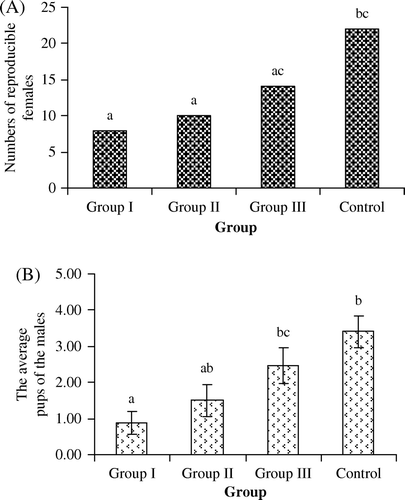 Figure 2.  Comparison of the reproduction among treated, recovering, and control groups. (A) The numbers of reproductive females. (B) The average number of pups per male in each group. The same letters indicate no significant difference, whereas different letters indicate a significant difference (p<0.05).