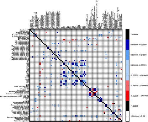 Figure 4. Heat map showing Spearman correlations among material properties of the CaP ceramics. Positive correlations between material parameters are marked in blue, while negative correlations are marked in red.