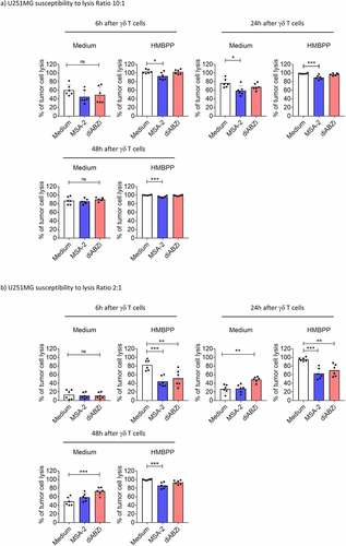 Figure 7. Modulation of γδ T-cell killing of U251MG tumor cells by STING ligands. 104 U251MG tumor cells per well were plated in duplicates in RTCA plates and incubated overnight. Thereafter, 105 (E/T ratio of 10:1) or 2 × 104 (E/T ratio of 2:1) short-term expanded Vδ2 T cells were added per well in the absence or presence of 25 µM MSA-2 or 100 nM diABZI, and the additional absence or presence of 1 nM HMBPP. The impedance was recorded every 3 min for additional 48 h. Triton X-100 was added to induce maximal lysis. The percentage of specific lysis at 6 h, 24 h and 48 h after addition of γδ T effector cells was calculated from the RTCA graph. a) E/T ratio of 10:1; b) E/T ratio of 2:1. Mean values of six independent experiments with different γδ T cells are shown. Statistical significance: * p < .05, ** p < .01, *** p < .001 and **** p < .0001. ns, not significant.