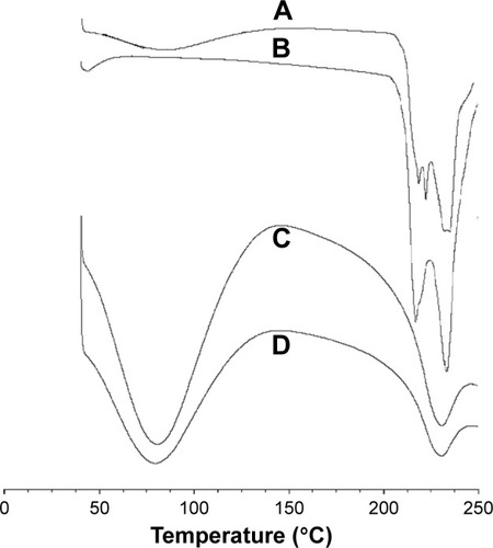 Figure 3 DSC curves.Notes: Differential scanning calorimetric thermograms of (A) mixture of DOX and BSA-V-NPs, (B) DOX, (C) DOX-BSA-V-NPs, and (D) BSA-V-NPs.Abbreviations: BSA, bovine serum albumin; DOX, doxorubicin; NPs, nanoparticles; V, vanillin; DSC, differential scanning calorimetric.