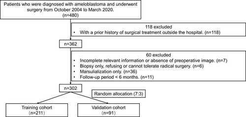 Figure 1 Study design flowchart. A total of 302 patients with ameloblastoma with complete relevant information were enrolled in this study and then randomly separated into training and validation sets with a ratio of 7:3.