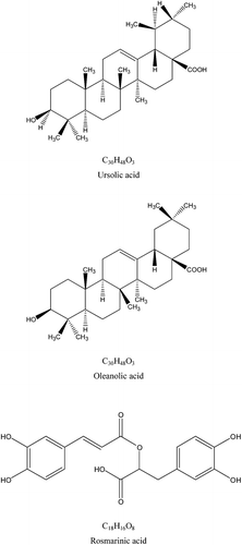 Figure 1.  Chemical structures of the ursolic acid (UA), oleanolic acid (OA), and rosmarinic acid (RA).