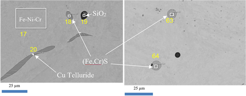 Figure 9. Typical SEM micrograph of VF-08.