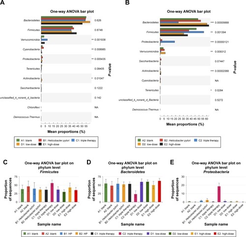 Figure 3 Comparison of multiple groups.Notes: One-way ANOVA bar plots of the phylum level before (A) and after (B) treatment. *0.01<P≤0.05; **0.001<P≤0.01; ***P≤0.001. One-way ANOVA bar plot figures of single phylum. (C) Firmicutes: P-value of group C =0.005<0.05, P-value of groups A, E, F, and G >0.05. (D) Bacteroidetes: P-value of group C =0.005<0.05, P-value of group F =0.045<0.05, P-value of groups A, E, and G >0.05. (E) Proteobacteria: P-value of groups A, C, and F≈0.005<0.05, P-value of groups E and G >0.05.Abbreviations: ANOVA, analysis of variance; NA, not applicable.