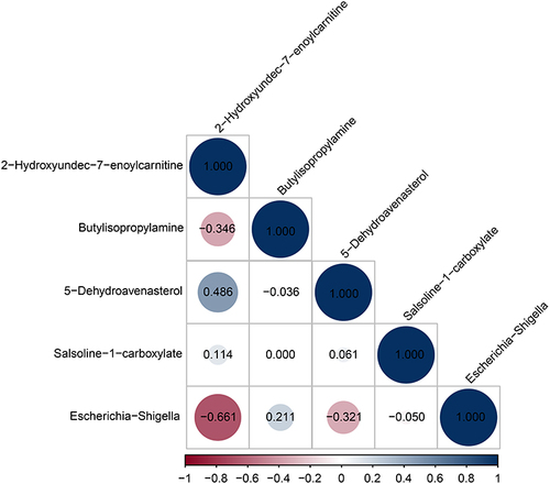 Figure 7 Heatmap correlation analysis between differential microbiota and metabolites.