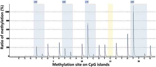 Figure 2 Detection of methylation of MGMT gene promoter CpG island using pyrosequencing.