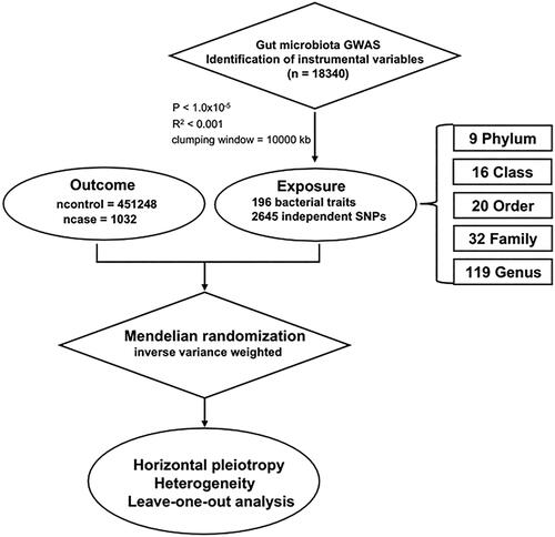 Figure 1. Workflow diagram for Mendelian randomization analysis.