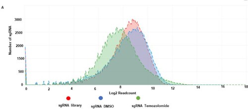 Figure 6. Cumulative frequency of sgRNA distribution in CRISPR library, DMSO and temozolomide-treated glioblastoma cells. A shows a cumulative frequency distribution of log 2 sgRNA read count in sgRNA library (red), sgRNA DMSO (blue) and sgRNA temozolomide (green).
