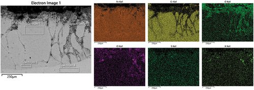 Figure 10. SEM micrographs with EDS maps of NiCrFeSi deposited through laser clad after 1000 h exposure.