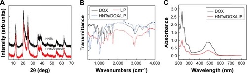 Figure 3 (A) XRD of HNTs and HNTs/DOX/LIP. (B) ATR-FTIR of DOX, LIP, and HNTs/DOX/LIP. (C) UV-vis of DOX and HNTs/DOX/LIP.Abbreviations: arb, arbitrary; ATR, attenuated total reflectance; DOX, doxorubicin; FTIR, Fourier-transform infrared spectroscopy; HNTs, halloysite nanotubes; LIP, soybean phospholipid; UV-vis, ultraviolet–visible; XRD, X-ray diffraction.