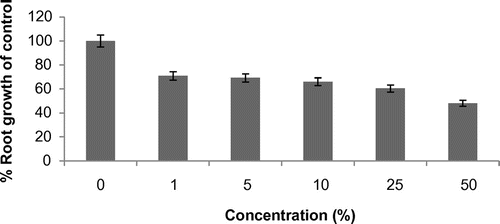 Figure 1. Effect of bilge water on root growth of Allium cepa.