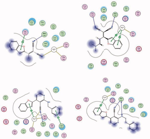 Figure 9. 2D binding modes and residues involved in the recognition of the most active compounds docked and minimised in the EGFR binding pocket: Compound 2 (upper left panel), 3 (upper right panel), 10 (lower left panel), and 11 (lower right panel).