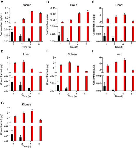 Figure 4 The concentration of Cur-NPs in plasma (A), brain (B), heart (C), liver (D), spleen (E), lungs (F) and kidneys (G) were assessed in treated C57BL/6 mice (means ± SD, n = 4).