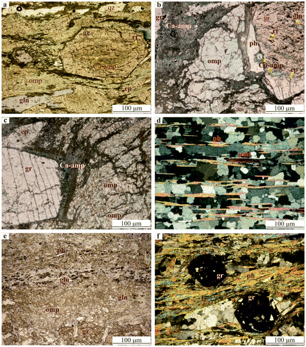 Figure 3. Photomicrographs of typical eclogite paragenesis and textures. (a) Eclogitic paragenesis with garnet, omphacite, glaucophane and phengite from the Çamlıca metamorphics. Prismatic omphacite and glaucophane crystals are oriented parallel to the foliation. Plane polarized light (PPL). (b) Garnet porphyroblasts contain glaucophane, phengite, quartz, Ca-amphibole and rutile inclusions. PPL. (c) Garnet porphyroblasts are replaced by Ca-amphibole. PPL. (d) Quartz-phengite schist associated with eclogite. Crossed polarized light (CPL). (e) The general texture of eclogite from the Çetmi Group. PPL. (f) Garnet-mica schist associated with eclogite. CPL. Abbreviations after Whitney and Evans (Citation2010).