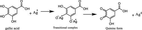Scheme 1 A plausible mechanism for AgNP synthesis using plant extract containing gallic acid.