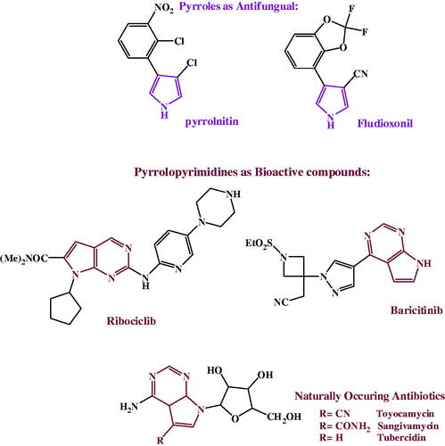 Figure 2. pyrroles and pyrrolopyrimidines as bioactive compounds.