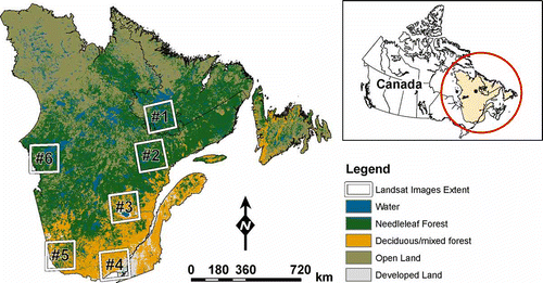 Fig. 2 Land cover types over the studied territory (from Cihlar & Beaubien, Citation1995) and emplacement of the selected Landsat-TM images. Reproduced with the permission of Natural Resources Canada, 2010.