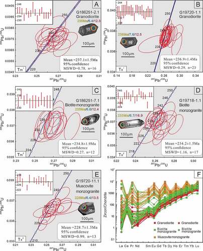 Figure 5. (A)-(E) Representative zircon cathodoluminescence images of various granitoids from the Baishandong pluton. The yellow, blue and red circles and numbers on zircons show the positions and results for U-Pb, O and Lu-Hf isotope analysis, respectively. (F) The Chondrite-normalized REE patterns of zircons from the Baishandong pluton.