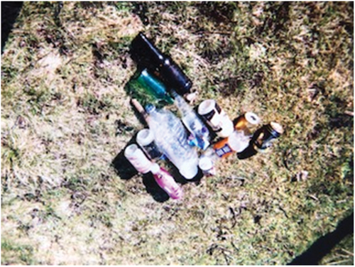 Figure 5. Litter collected by Harry and his friends.