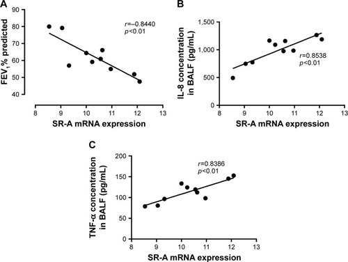 Figure 5 Relationships between SR-A mRNA, and cytokine expression levels and FEV1% predicted.