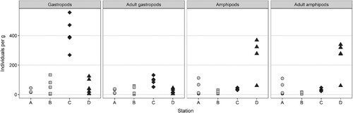 Figure 6. Abundances of gastropods and amphipods per gram thallus in each sample of Sargassum muticum, plotted by station. ‘Adult’ groups have juveniles excluded. Type of site is shaded (sound = light grey, sheltered bay = dark grey).