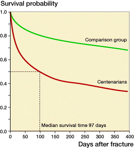 Figure 1. Kaplan–Meier survival curves after hip fracture for centenarians and comparison group of patients between 70 and 99 years of age.