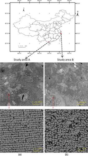 Figure 1. Study areas and GeoEye-1 panchromatic images: (a) study area A is located east of Beihai City in Guangxi Province and (b) study area B is located east of Ningbo City in Zhejiang Province.