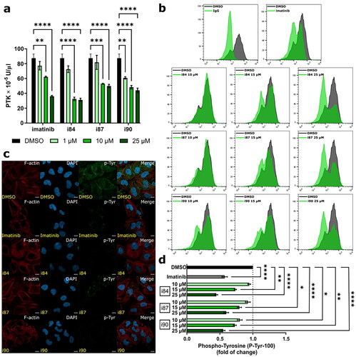 Figure 5. Analysis of changes in phosphorylation of protein tyrosine kinases after compounds treatment. DMSO and imatinib were used as negative and positive controls, respectively. (a) In vitro determination of PTK activity using A549 extracts determined by ELISA. (b) Representative histograms of compounds-treated A549 cells after intracellular hosphor-flow cytometry. (c) Representative microscopy images presenting immunofluorescence of microtubule and p-Tyr foci in A549 cells at 4 h of treatment. The microtubules are depicted in red, p-Tyr in green, and the nucleus is stained with DAPI (blue). Scale bars = 10 μm. (d) Quantification of intracellular hosphor-flow cytometry. *p < 0.01, **p < 0.001, ***p < 0.0001, ****p < 0.00001 vs. vehicle (one-way ANOVA and post hoc Dunnett’s test).