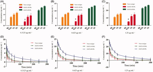 Figure 6. The impact of EGCG-RNPs on HL-60 cell uptake and efflux (n = 6, Mean ± S). (A, D): 0.3125 μg · mL−1, (B, E): 0.625 μg mL−1, (C, F): 1.25 μg mL−1. Cells were treated with 0.3125, 0.625, 1.25 μg · mL−1of nano-realgar, EGCG + RNPs, or EGCG-RNPs for 0, 0.5, 1, and 2 h, and intracellular nano-realgar concentration was measured(A, B, C). Cells were treated with 0.3125, 0.625, or 1.25 μg · mL−1of nano-realgar, EGCG + RNPs, or EGCG-RNPs for 6 h, and intracellular nano-realgar concentration was measured (D, E, F). Data shown are means ± standard deviations for six samples. *Significantly different from the EGCG-RNPs group at 0.5 h, p < 0.05. △Significantly different from the EGCG-RNPs group at 1 h, p < 0.05. ◇Significantly different from the EGCG-RNPs group at 2 h, p < 0.05.