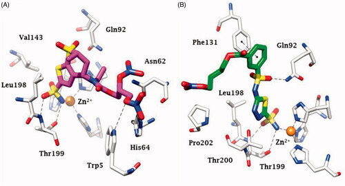 Figure 3. Binding of sulphonamide–NO donors to hCA II as determined by X-ray crystallographic experiments. (A) Compound 6 (PDB 3K2F) in magenta, and (B) sulphonamide 8 (PDB 3NI5) is shown in green. The zinc ion from the CA active site is shown as a gold sphere, being coordinated by three His residues (His 94, 96 and 119 – not numbered in the figure for the sake of simplicity) and the fourth metal ion ligand being the deprotonated sulphonamide from the inhibitor. The other amino acid residues involved in contacts with the inhibitors are also highlighted.