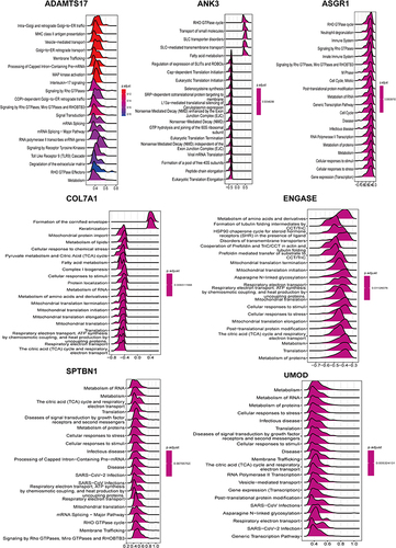 Figure 8 The Gene Set Enrichment Analysis (GSEA) of hub genes in S-AKI.