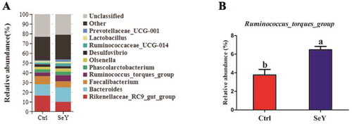 Figure 7. Relative abundance of the cecal microbiota at the genus level in the Ctrl and SeY treatments based on the 16S rDNA gene sequence. (A) The relative abundance of the top 10 genera from samples. (B) The relative abundance of Ruminococcus_torques_group was expressed as mean ± SEM. Values within a row with no common superscripts differ significantly (p < .05).