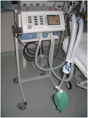 Figure 4 Evita 2 Dura (Dräger, Medical GmbH, Lübeck, Germany).