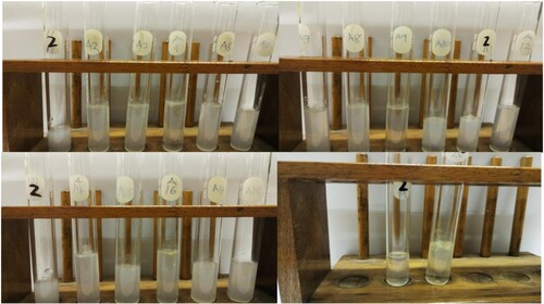 Figure 5. Pictures of adsorbent treated synthetic oily wastewater (Experimental conditions are as presented in Table 2).