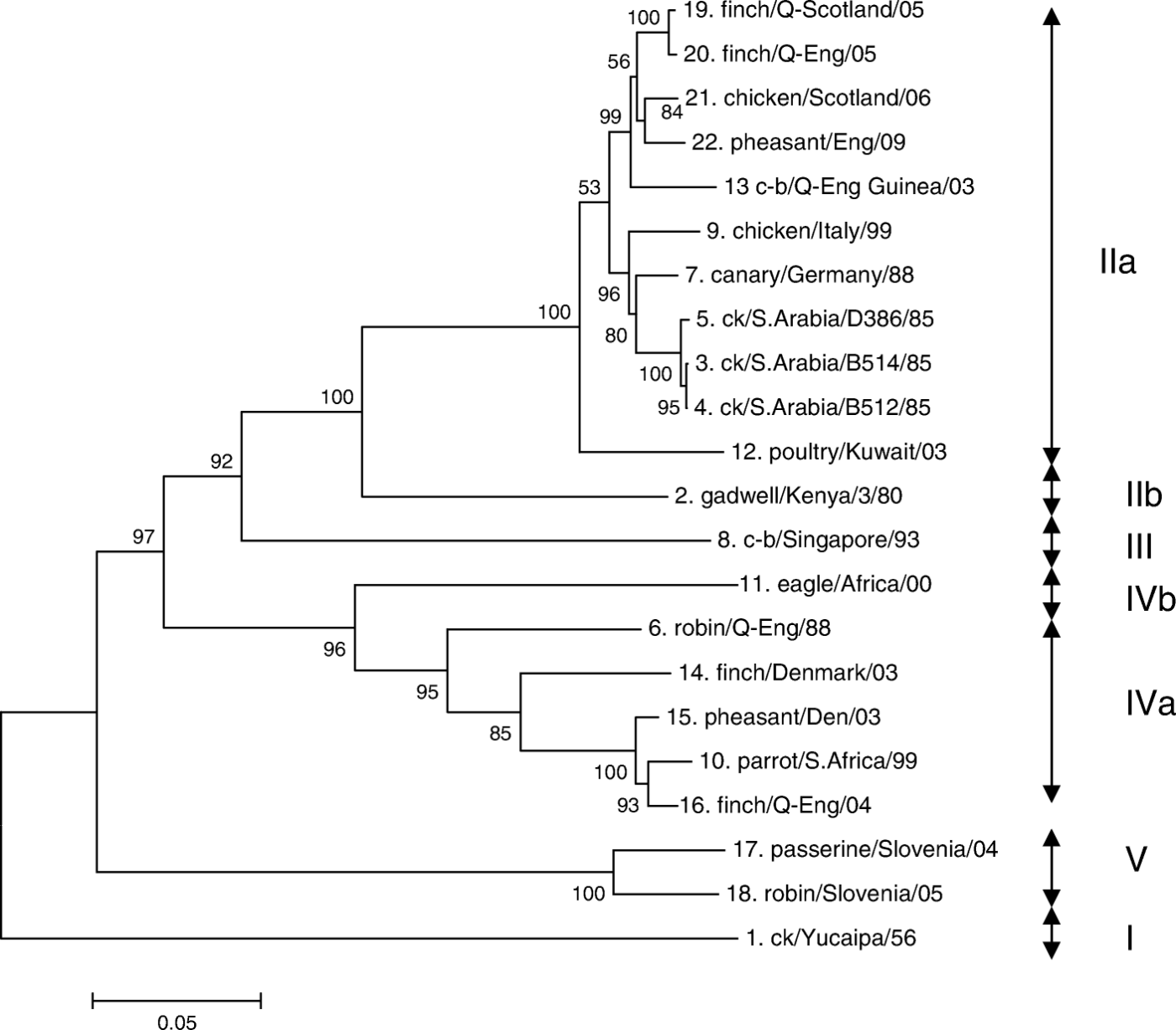 Figure 2.  Phylogenetic tree based on data from 22 APMV-2 viruses. Presented as a minimum evolution tree, based on the nucleotide sequences of the HN gene (1734 nucleotides of the open reading frame). Branch lengths represent the predicted number of substitutions and are proportional to the differences between the isolates. The numbers represent confidence levels (%) for having inferred the particular clade correctly. Roman numerals show the genetic groups, the extents of which are shown by the arrows. For full names of isolates, see Table 1.