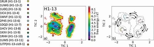 Figure 6. (a) Free energy surface of the CDR-H1 loop with a loop length of 13 residues including the projected 13 available canonical cluster median representatives. The legend and color-coding of all canonical cluster representatives are shown on the left. The canonical cluster representative used as starting structure for simulations is shaped as triangle, while all the other available canonical cluster median X-ray structures are visualized as circles. (b) Contours of the free energy surface are displayed in the background of the Markov-state model. The macrostate representatives with the respective macrostate ensemble and transition kinetics are also included. The macrostate representatives were colored independent of the canonical cluster representatives in (a) and summarize the kinetically relevant conformations of the CDR-H1 loop in solution. We obtained four macrostates, in which 12 of 13 canonical cluster medians are present. We also identify a potentially relevant conformation in solution