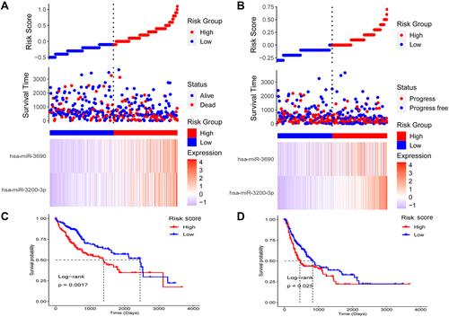 Figure 3 The miRNA-based risk score as a prognostic biomarker in hepatocellular carcinoma (HCC). (A) Patients with HCC were divided into high- or low-risk groups. Their risk scores, survival, and expression of the two miRNAs are shown. (B) Patients with HCC were divided into high- or low-risk groups. Their risk scores, progression, and expression of the two miRNAs are shown. (C) Patients with HCC in the high-risk group showed worse overall survival. (D) Patients with HCC in the high-risk group showed worse progression-free survival.