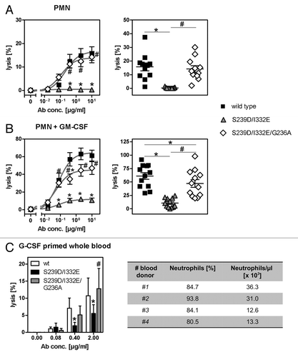 Figure 5. Impairment of PMN-mediated ADCC activity by an FcγRIII-optimized anti-EGFR antibody variant is restored by additional improvement of its FcγRIIa affinity. (A, B) PMN from healthy blood donors were left untreated (A) or were stimulated with GM-CSF (B) and subsequently used as effector cells in ADCC experiments utilizing indicated antibodies at increasing concentrations and A431 cells (left panels). Results from different blood donors at highest antibody concentrations were separately depicted (right panels). Data are presented as mean ± SEM from at least three independent experiments with different blood donors. * P ≤ 0.05 for wild type antibody vs. antibody variants; # P ≤ 0.05 for S239D/I332E/G236A vs. S239D/I332E. (C) Neutrophil-enriched whole blood samples from G-CSF primed donors were used as effector source in ADCC experiments against A431 cells. Data are presented as mean ± SEM from three independent experiments with different blood donors. * P ≤ 0.05 for wild type antibody vs. antibody variants; # P ≤ 0.05 for S239D/I332E/G236A vs. S239D/I332E.