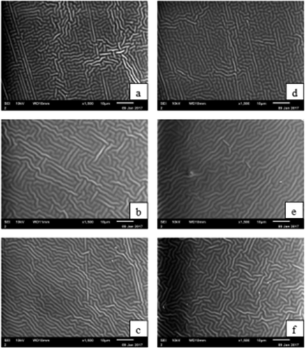 Figure 6. Scanning electron microscopy of the surfaces of the films.a)RG:4 g + 22%; b) RG:4 g + 30%; c) RG:5 g + 30%; d) PG:4 g + 22%; e) PG:4 g + 30%; f) PG:5 g + 30%.