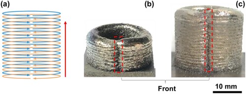 Figure 8. Build features of the hollow cylinder using bidirectional scanning strategy. (a) Virtual paths of the CNC machine. (b) Printed results of the 20-layer build. (c) Printed results of the 40-layer build.