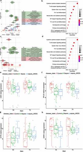 Figure 4. Module functional enrichment analysis and identification of key genes.