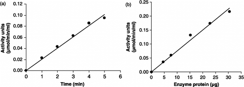 Figure 8 Linearity of P. yoelii cytosolic GST assay with respect to (a) time and (b) enzyme protein.