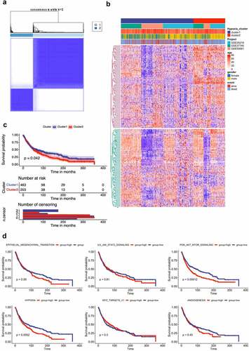 Figure 1. Lung cancer patient characteristics and hypoxia-related gene identification. (A) Consensus matrices of NSCLC patients for k=2 based on 205-hypoxia-related genes in three GEO cohort; (B) NSCLC cases are divided into two subtypes based on unsupervised analysis; (C) Differences in patient overall survival with two clusters; (D) Cox proportional hazard regression of survival months and survival status were performed using gene set enrichment scores for the six hypoxia-associated gene signatures. Log-rank test was used to determine significant p values