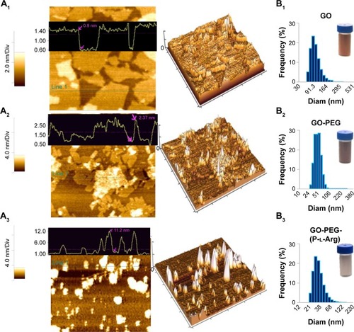 Figure 1 AFM images of two-dimensional and three-dimensional surface plot view of GO (A1), GO-PEG (A2), GO-PEG-(P-l-Arg) (A3). Size histogram of GO (B1), GO-PEG (B2), GO-PEG-(P-l-Arg) (B3) were measured by DLS and digital photographs of aqueous suspension of GO and modified GO.Abbreviations: AFM, atomic force microscopy; DLS, dynamic light scattering; GO, graphene oxide; PEG, polyethylene glycol; P-l-Arg, poly-l-arginine; Diam, diameter.