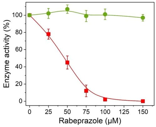 Figure 5. Effect of Rbz on the enzymatic activity of TcTIM and HsTIM. 0.2 mg/mL of the recombinant enzymes were exposed to increasing concentrations of Rbz for 2 h at 37 °C. Subsequently, an aliquot was taken, and the enzyme activity was measured in a coupled assay. Red squares correspond to TcTIM and green circles to HsTIM. Results represent the average of four independent biological experiments.