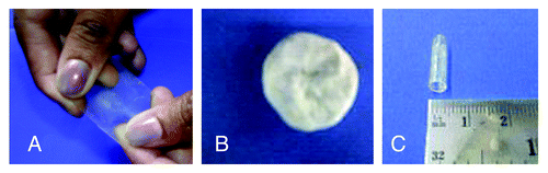 Figure 7. Polyester samples fabricated in the form of film, tuba and porous film.