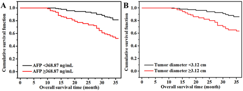 Figure 1 Effect of AFP and ultrasound on OS (A) OS curves of L-AFP and H-AFP groups. (B) OS curves of LTD and HTD groups.