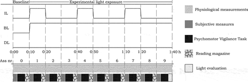 Fig. 1. Visualization of the three experimental lighting conditions and measurement protocol of one session. IL = intermittent light, BL = bright light, DL = dim light, Ass nr = assessment number.