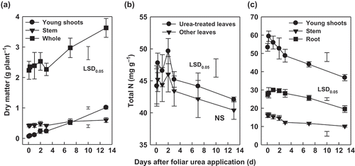Figure 1 (a) Dry matter production, and total nitrogen (N) concentration in (b) leaves and (c) other organs of tea (Camellia sinensis L.) plants receiving foliar urea application [means ± standard deviation (SD), solution experiment]. Bars of least significant difference (LSD) value and NS indicate significant and insignificant difference at p < 0.05, respectively.