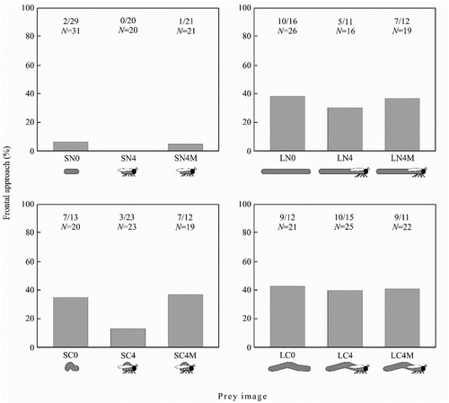 Figure 4. The frequency of frontal approach in the experiments with horizontally-moving prey. The number of spiders performing frontal approach, the number of spiders that did not perform frontal approach and total number of spiders are given above each bar.